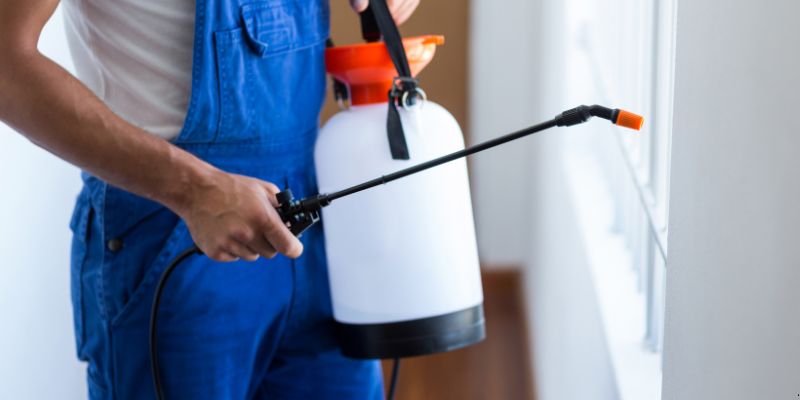 Como fazer dedetização em casa em Guarulhos