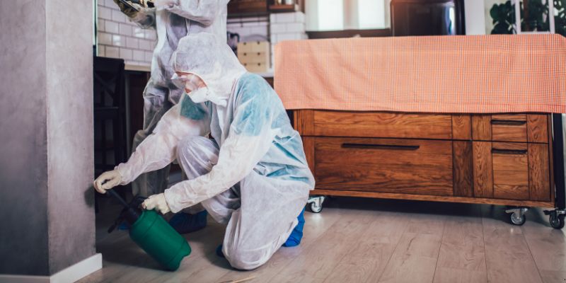 Dedetização em Apartamento Como Funciona em Guarulhos: Confira 4 Passos Dedetização em apartamento como funciona em Guarulhos
